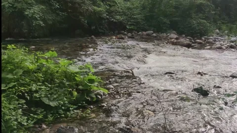 Mountain River with Clean Clear Water.  Stock Footage 202843146
