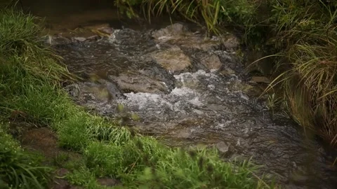 Mountain river. A clean stream flowing through stone blocks. Stock Footage 213020639