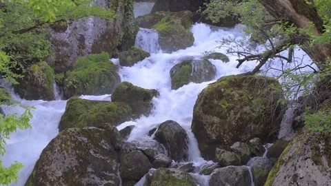 Mountain river with clean water in Caucasus mountain in Georgia near Kutaisi Stock Footage 76202043