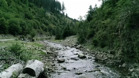 Mountain river, clear and transparent with pebble Stock Footage 314109291