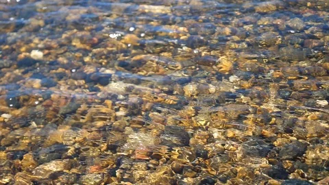 Mountain river, with clear cold water. Transparent bottom, river stones 库存影片 92533790