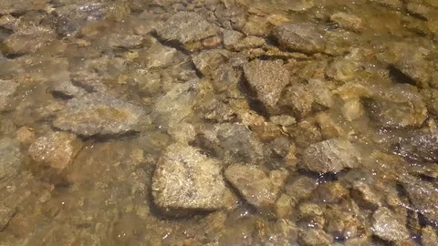 Mountain river with clear water and stones Stock Footage 79047892