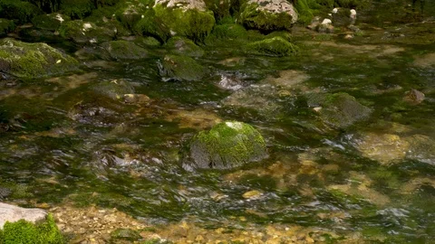 Mountain river with clear water and stones in the moss Stock Footage 110244357