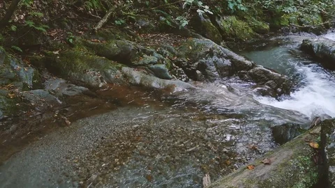 A mountain river with clear water flows among the stones. Close-up Stock Footage 76848092
