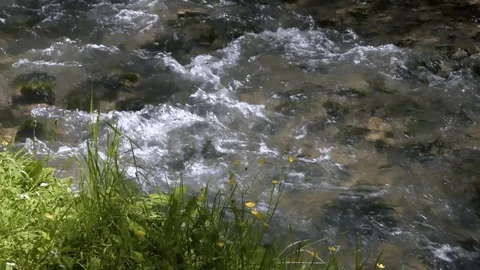 Mountain river with clear water Stock Footage 86229663