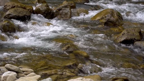 Mountain river with clear water. Stock Footage 109561919
