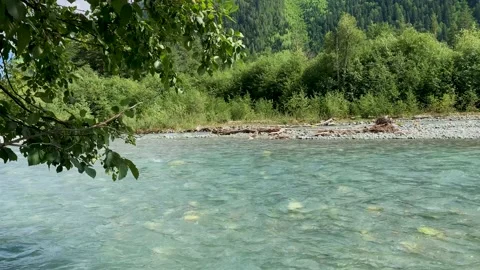 Mountain river with clear water in the forest. Stock Footage 160858713