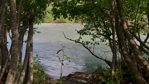 Mountain river with clear water in the forest Stock Footage 160859347
