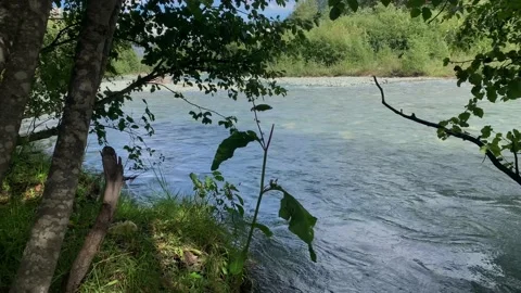 Mountain river with clear water in the forest Stock Footage 160859495