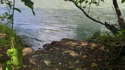 Mountain river with clear water in the forest. Stock Footage 160859612