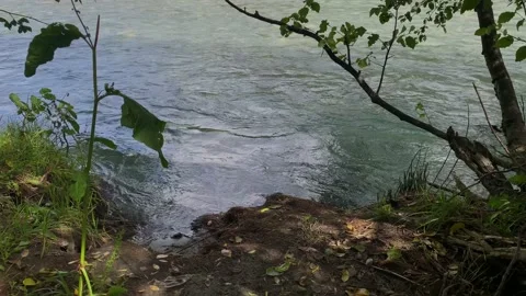 Mountain river with clear water in the forest Stock Footage 160859637