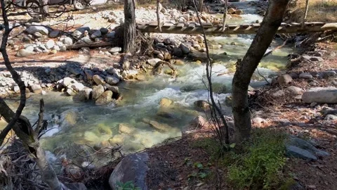 Mountain river with clear water in the forest Stock Footage 163315665