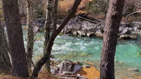 Mountain river with clear water in the forest. Stock Footage 165773492
