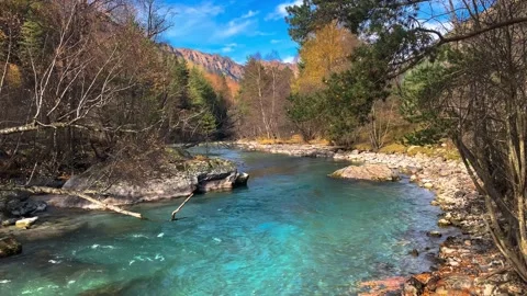 Mountain river with clear water in the forest Stock Footage 165774676