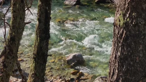 Mountain river with clear water in the forest. Stock Footage 165774895