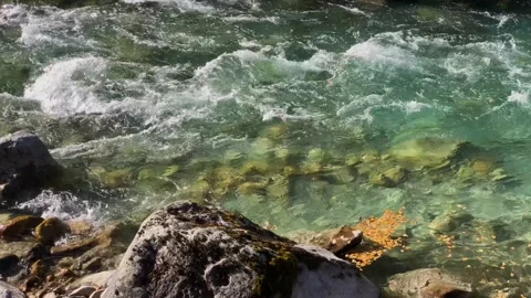 Mountain river with clear water in the forest. Stock Footage 165775344