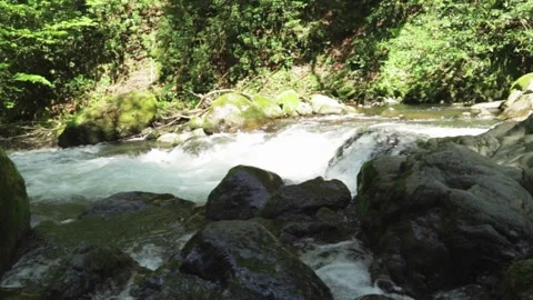 Mountain river with clear waters, landscape with a flowing water stream Stock Footage 242230148