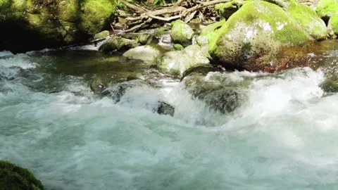 Mountain river with clear waters, landscape with a flowing water stream clo.. Stock Footage 242230694