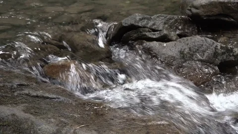 Mountain river, close-up Stock Footage 79065612