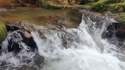 Mountain River Close Up In The Rainforest 库存影片 233201255