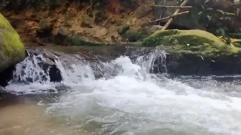 Mountain River Close Up In The Rainforest 库存影片 233201449