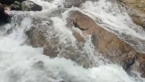 Mountain River Close Up In the Rainforest 库存影片 233201744