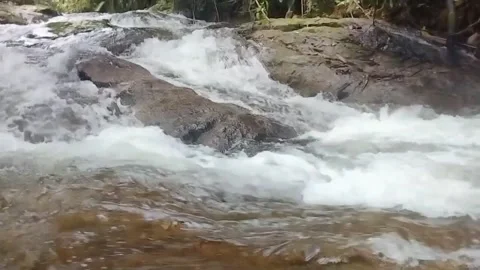 Mountain River Close Up In the Rainforest 库存影片 233201748