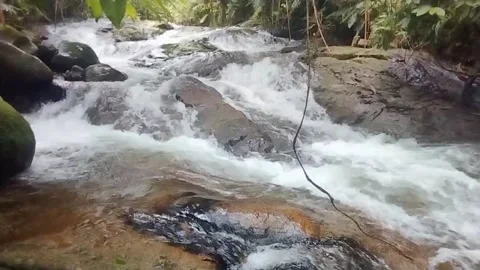 Mountain River Close Up In The Rainforest 库存影片 233201831
