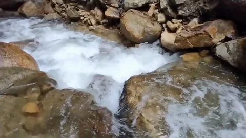 Mountain River Close Up In Rainforest 库存影片 233201844