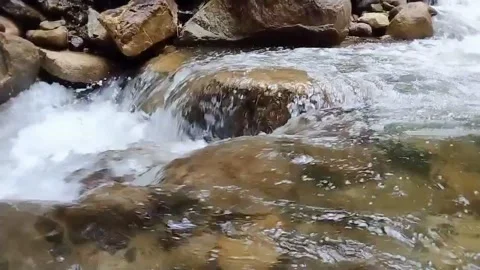 Mountain River Close Up In Rainforest 库存影片 233201846