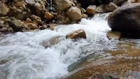 Mountain River Close Up In Rainforest 库存影片 233201849