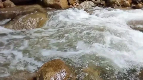 Mountain River Close Up In Rainforest 库存影片 233201850