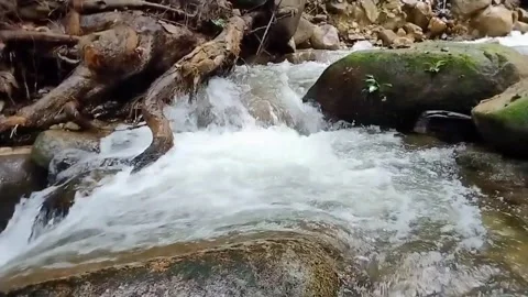 Mountain River Close Up In Rainforest 库存影片 233201883