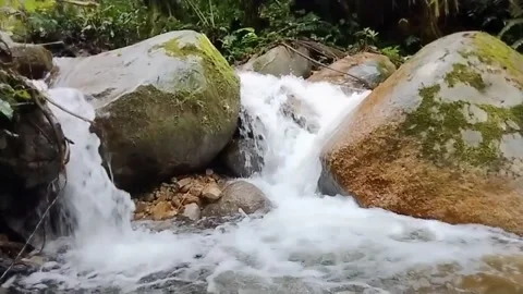 Mountain River Close Up In Rainforest 库存影片 233201884