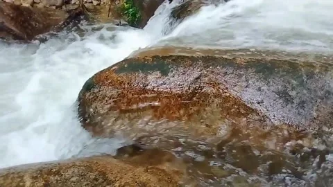 Mountain River Close Up In Rainforest 库存影片 233201885