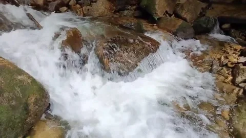Mountain River Close Up In Rainforest 库存影片 233201915