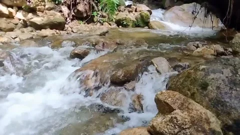 Mountain River Close Up In Rainforest 库存影片 233201916