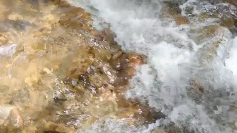 Mountain River Close Up In Rainforest 库存影片 233201918