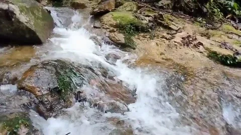 Mountain River Close Up In Rainforest 库存影片 233201947