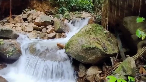 Mountain River Close Up In the Rainforest 库存影片 233201953
