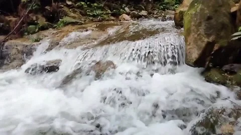 Mountain River Close Up In the Rainforest 库存影片 233201994
