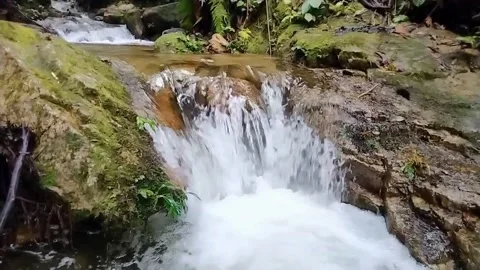 Mountain River Close Up In the Rainforest 库存影片 233201997