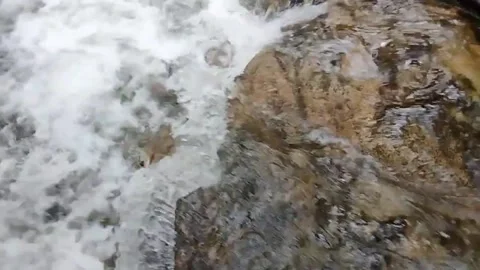 Mountain River Close Up In the Rainforest 库存影片 233201999