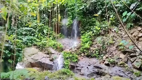 Mountain River Close Up In Rainforest 库存影片 233202027