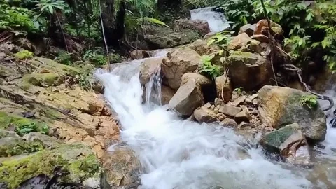 Mountain River Close Up In the Rainforest 库存影片 233202034