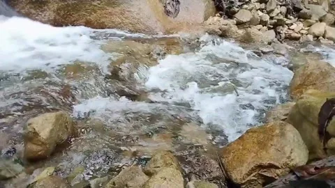 Mountain River Close Up In the Rainforest 库存影片 233202035