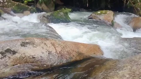 Mountain River Close Up In the Rainforest 库存影片 233202042