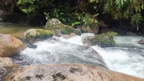 Mountain River Close Up In Rainforest 库存影片 233202055