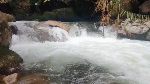 Mountain River Close Up In Rainforest 库存影片 233202059