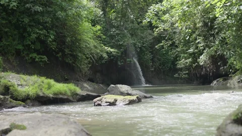 Mountain river close-up Sunny summer day in the background a Beautiful Waterfall Video stock 253500972